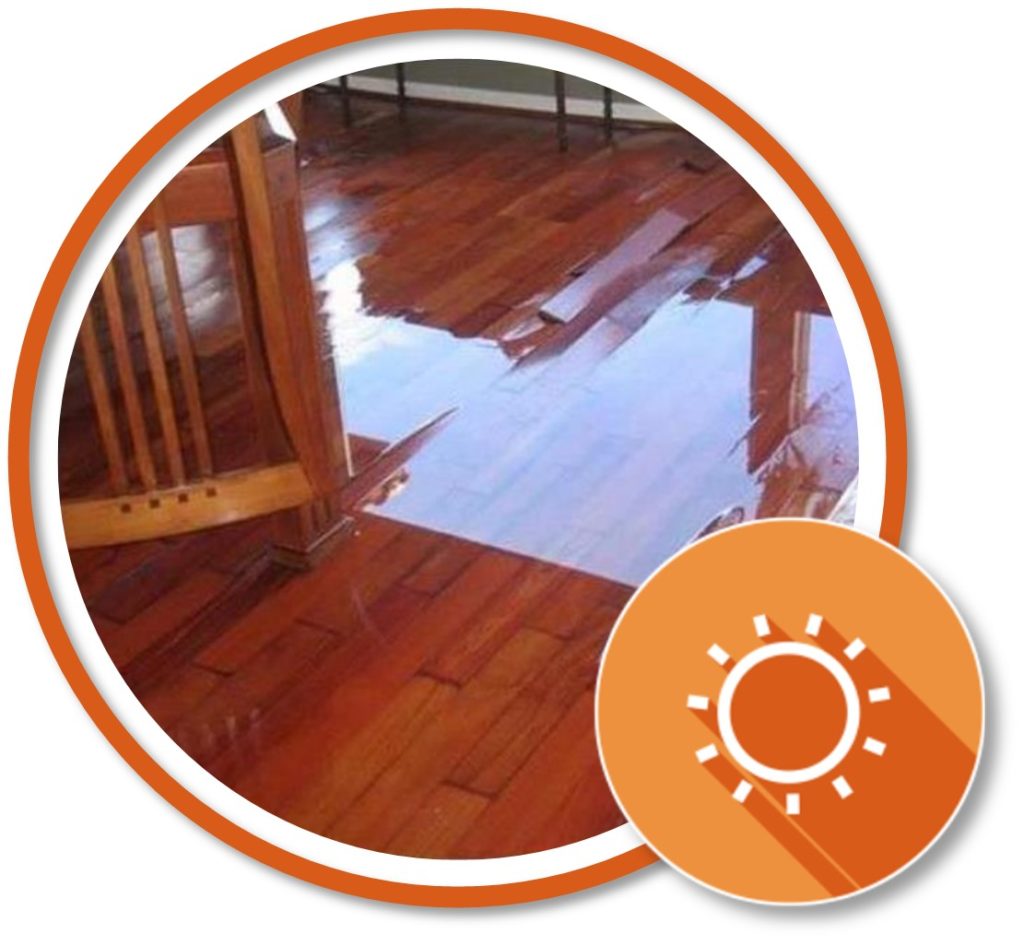 Hidden Water Damage image