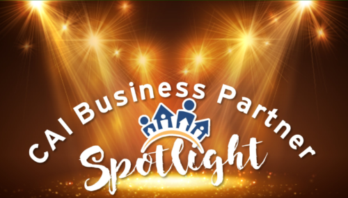 Business Partner Spotlight image