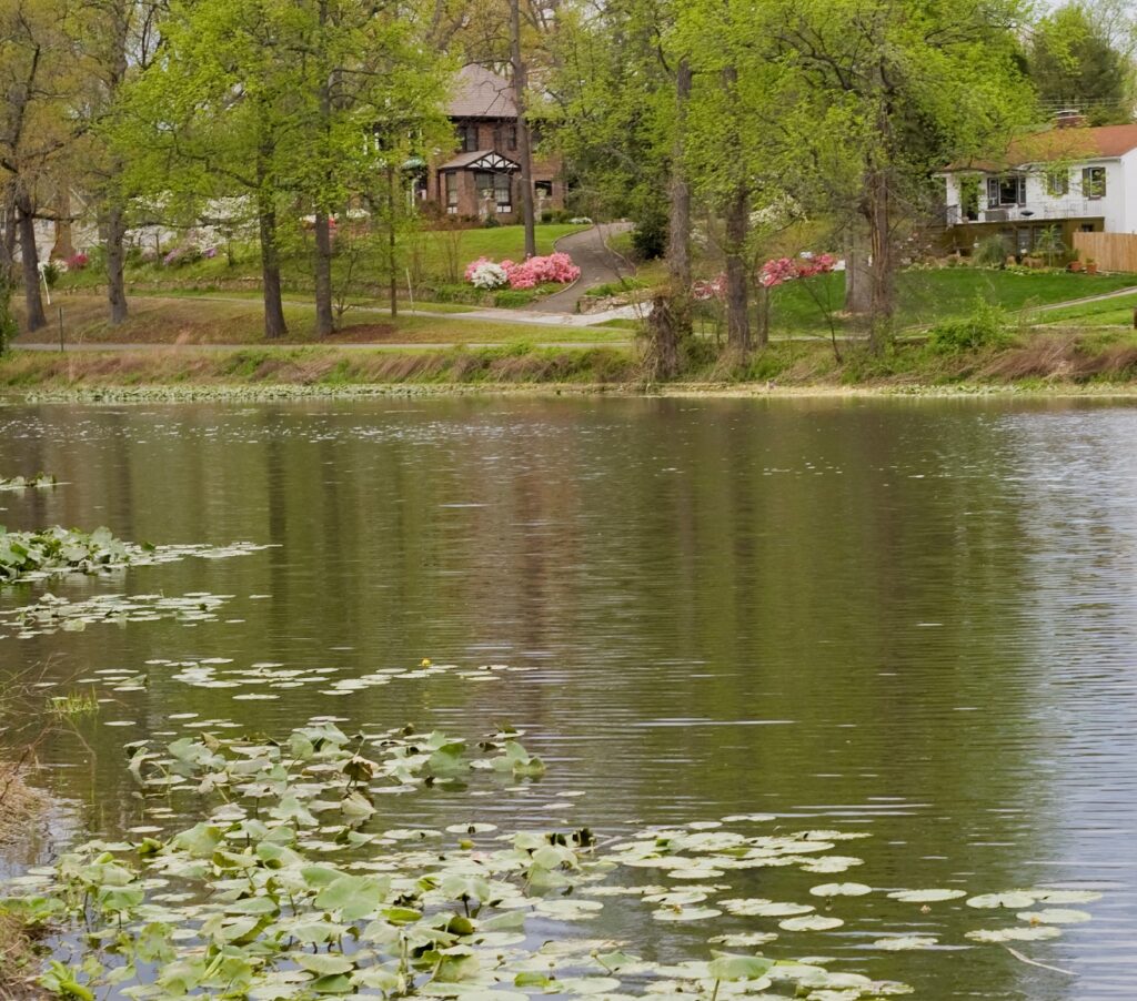 Lake Community image