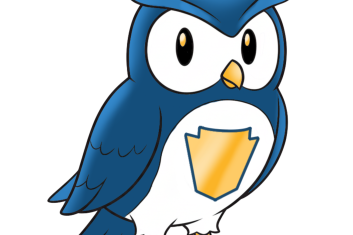 CAi Keystone owl